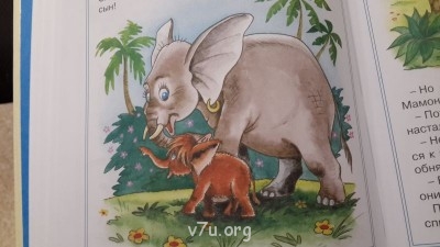 Усыновление двоих детей сразу - 20141117_142202.jpg