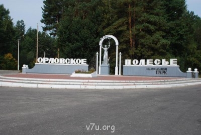 Наши любимые домашние питомцы - DSC_0174.JPG