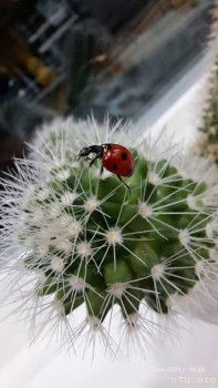 2 2 - IMG-20231214-WA0009.jpg