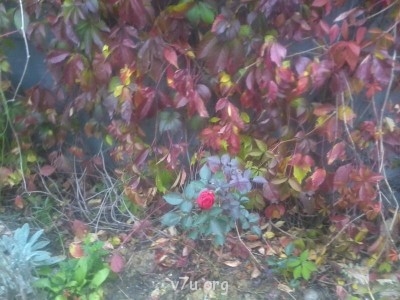 У природы нет плохой погоды - Фото0099.jpg