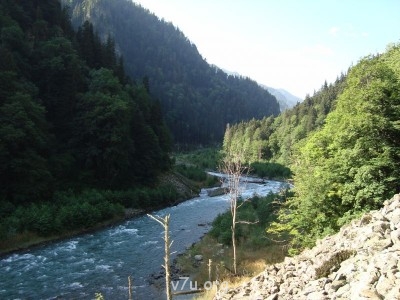 Природа наших мест - DSC00659.JPG