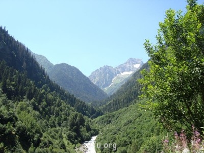 Природа наших мест - DSC00679.JPG