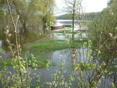 Природа наших мест - P1060933.JPG