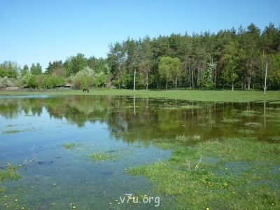 Природа наших мест - P1070152.JPG