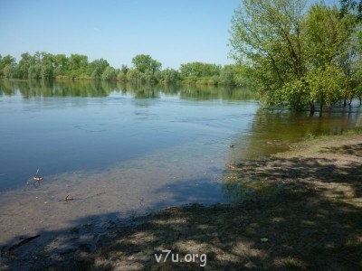 Природа наших мест - P1070181.JPG