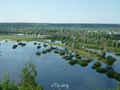 Природа наших мест - P1070255.JPG