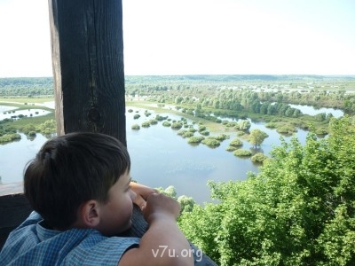 Природа наших мест - P1070261.JPG