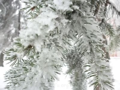 Это уже снимки, сделанные в нашем прекрасном, маленьком и очень древнем городе.
