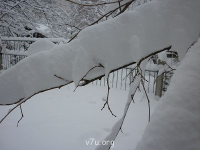 Природа наших мест - 22.JPG