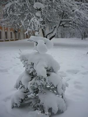 Природа наших мест - 23.JPG