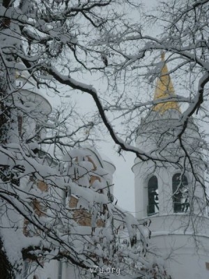 Природа наших мест - 24.JPG