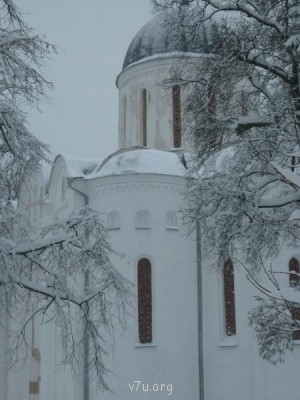 Природа наших мест - P1050076.JPG