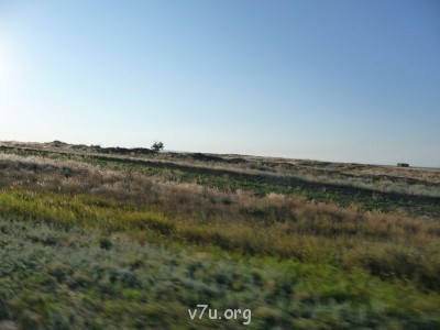 Степь да степь кругом...