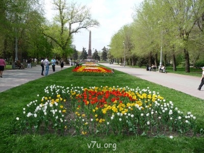 Апрель, Аллея Героев. До 9 мая тюльпаны обычно не доживают. Отцветают.