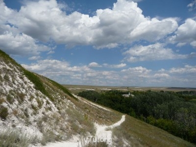 Природа наших мест - P1100723.JPG