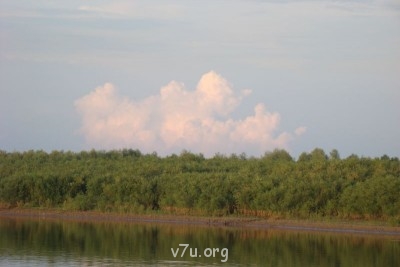 Природа наших мест - DSC03931.JPG