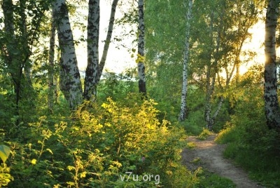 Природа наших мест - DSC_0103.JPG