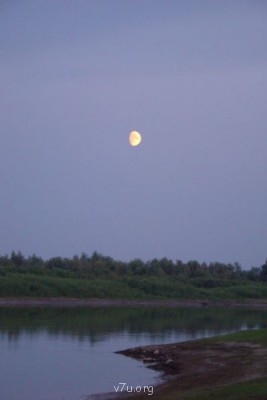 Природа наших мест - DSC03953.JPG