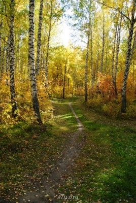 Природа наших мест - DSC_0006.JPG