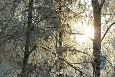 Природа наших мест - IMG_5048.JPG