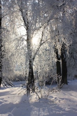 Природа наших мест - IMG_5062.JPG