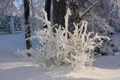 Природа наших мест - IMG_5074.JPG