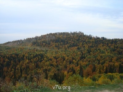 Природа наших мест - DSC01261.JPG