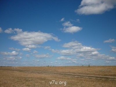 Природа наших мест - 4.JPG