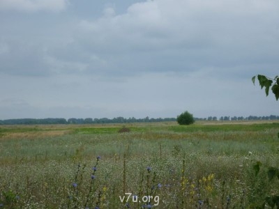 Природа наших мест - 10.JPG