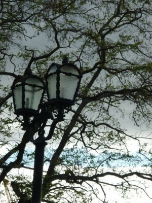 Природа наших мест - 16.JPG