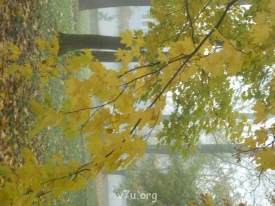 Природа наших мест - P1060676.JPG