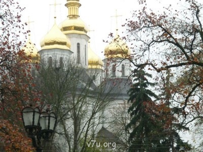 Природа наших мест - P1060725.JPG