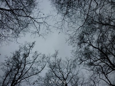 Природа наших мест - 19.JPG