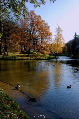 У природы нет плохой погоды - DSC_0842.JPG