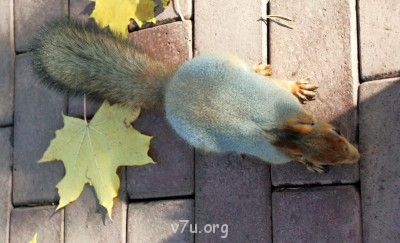 У природы нет плохой погоды - DSC_0907.JPG