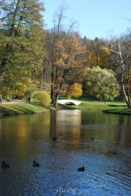 У природы нет плохой погоды - DSC_0919.JPG