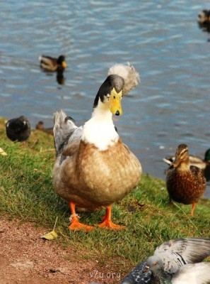 У природы нет плохой погоды - DSC_0946.JPG