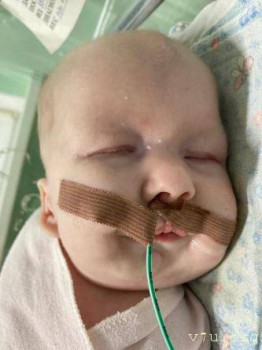 Покажите анкеты ребеночка до 5 лет любого пола  - image.jpg