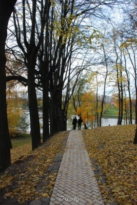 У природы нет плохой погоды - DSC_0975.JPG