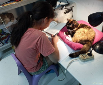 Жили-были мы. - Screenshot_2024-02-12-14-01-26-672.jpg