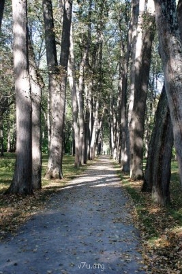 У природы нет плохой погоды - DSC_0106.JPG