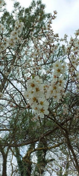 Эквинус- предстоит операция. Чего ожидать? - 1711819631875.jpg