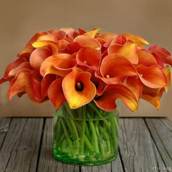 Дом ребёнка не хочет отдать ребёнка- инвалида в приемную сем - 1687124606_kartin-papik-pro-p-kartinki-tsveti-kalli-s-dnem-rozhdeniya-47.jpg