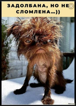 Жили-были мы. - FFA611F9-8BA8-4FDD-8967-C5D368B338A1.jpeg