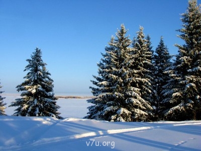 Природа наших мест - image (8).jpg