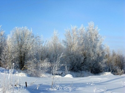 Природа наших мест - image (6).jpg