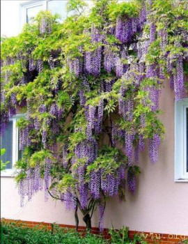 Жили-были мы. - article129121.jpg