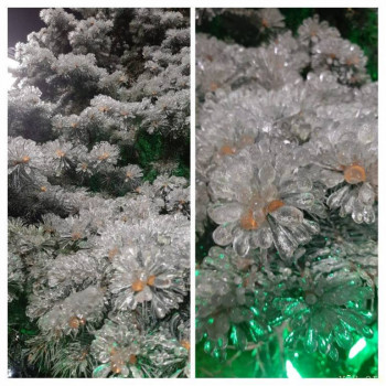 Жили-были мы. - IMG_20240424_150806-COLLAGE.jpg