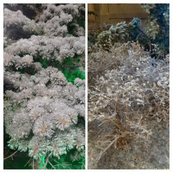 Жили-были мы. - IMG_20240424_150740-COLLAGE.jpg