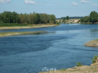 Природа наших мест - 1.JPG